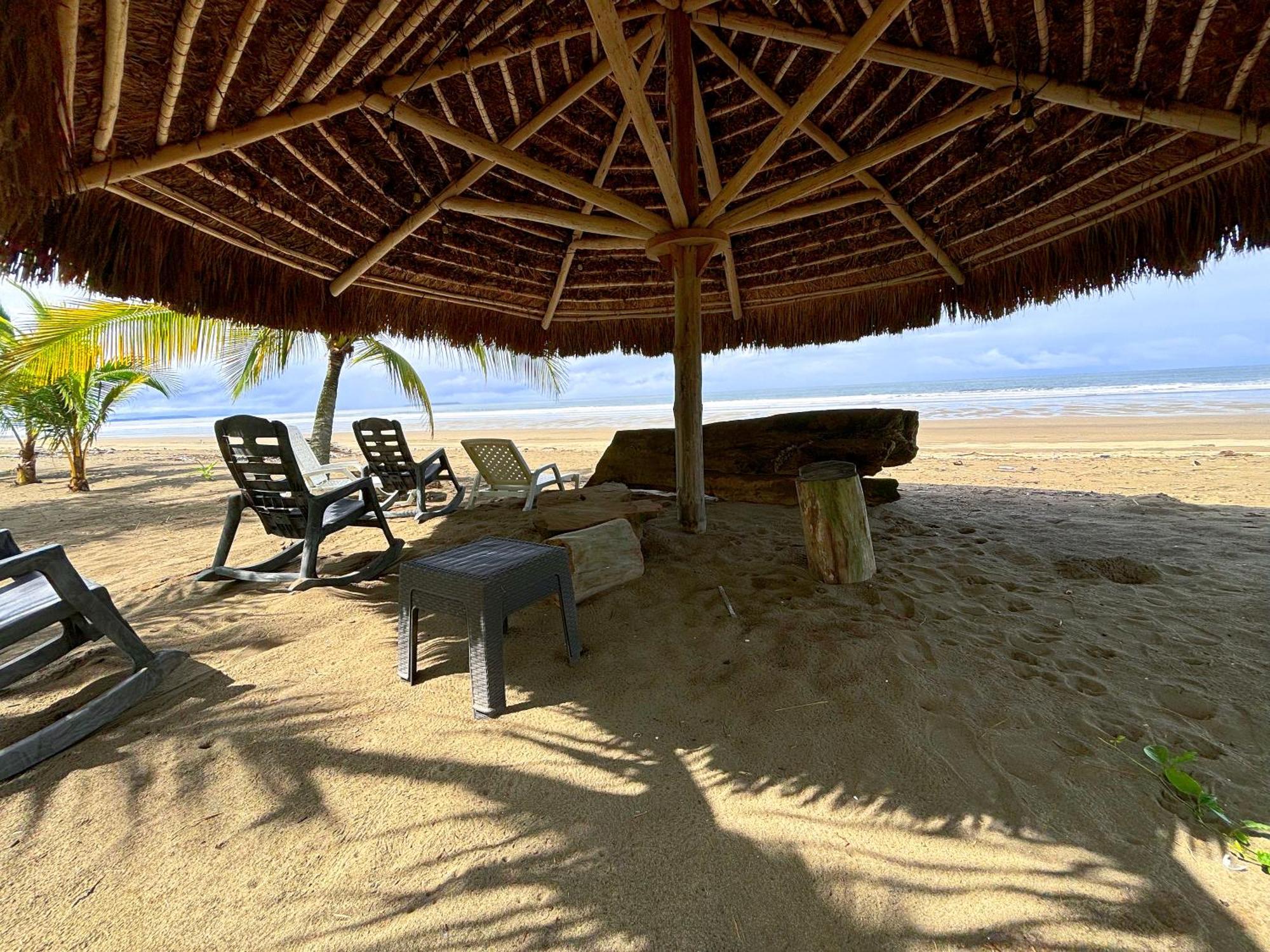 Royal Palm Retreat Lejlighed Cabrera Eksteriør billede