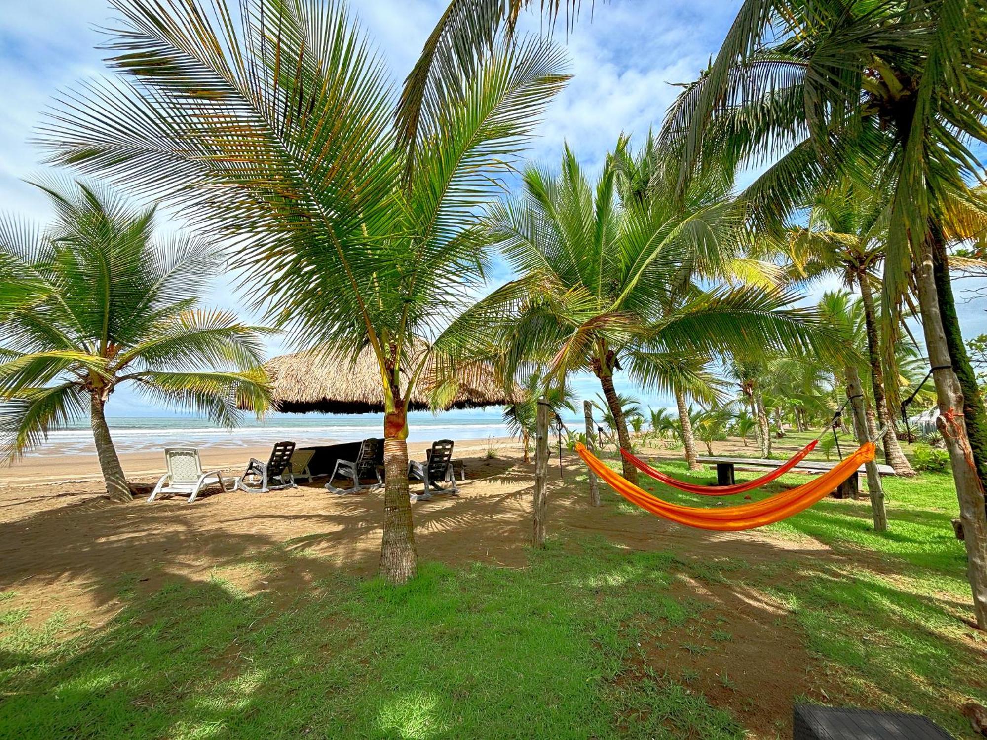 Royal Palm Retreat Lejlighed Cabrera Eksteriør billede